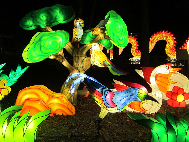 Chinese Lantern Festival - Koka Booth Cary NC