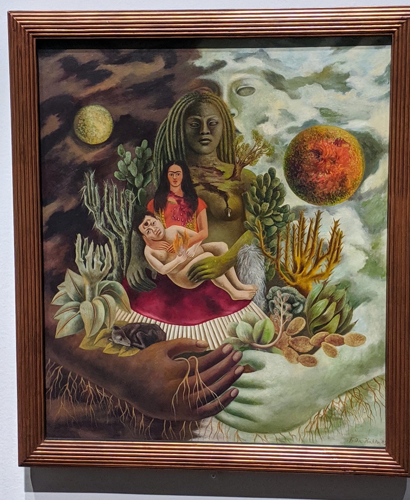 Frida Khalo Exhibit at the NCMA in SW Raleigh NC