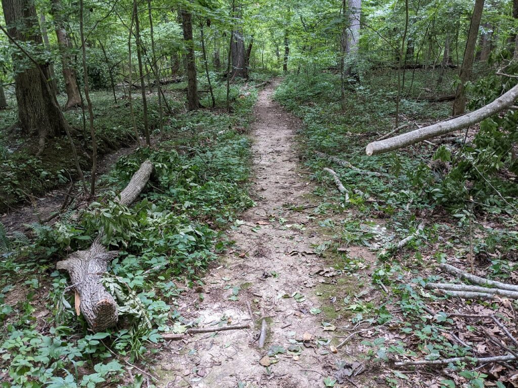 Trails in Lochmere Cary NC