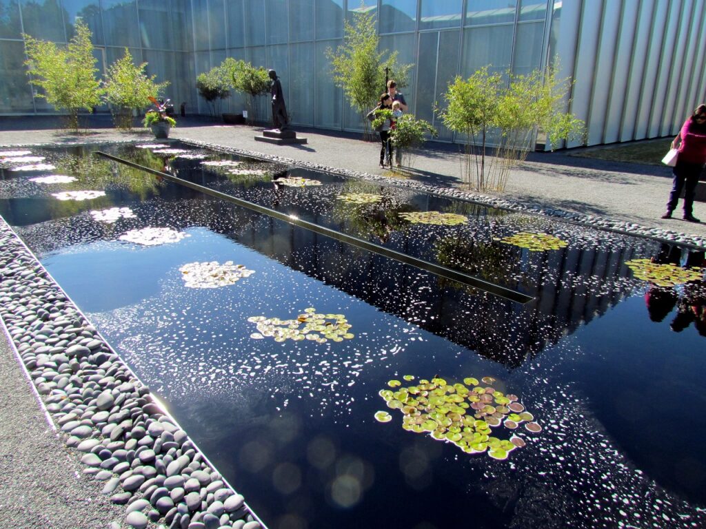 Water Lily Pond Outside Of NCMA in Southwest Raleigh NC