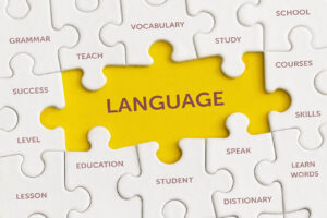 Read more about the article The Comprehensible Input Model Explained